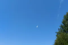 20220616_110059